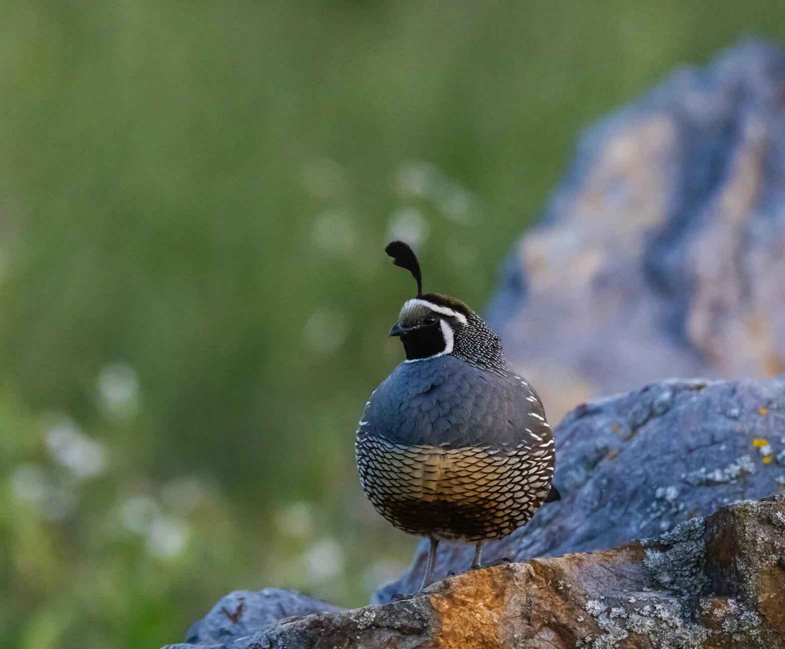 Teilnehmer: 1. FC Köln Gegen Bayer 04 Leverkusen Statistiken 1 Die Teams im Überblick