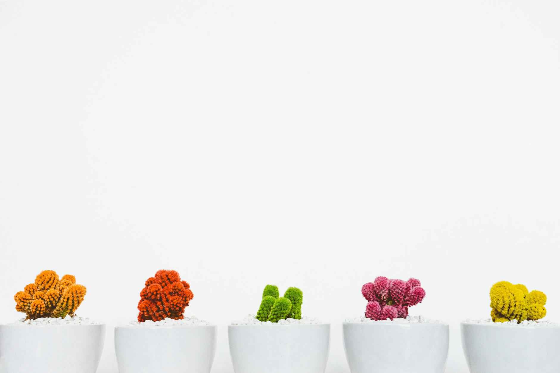 Teilnehmer: 1. FC Saarbrücken Gegen Borussia Mönchengladbach Statistiken 5 Fazit und Ausblick auf zukünftige Spiele