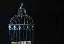 Teilnehmer: 1. FSV Mainz 05 Gegen Borussia Mönchengladbach Statistiken Teilnehmer: 1. FSV Mainz 05 Gegen Borussia Mönchengladbach Statistiken