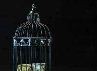 Teilnehmer: 1. FSV Mainz 05 Gegen Borussia Mönchengladbach Statistiken Teilnehmer: 1. FSV Mainz 05 Gegen Borussia Mönchengladbach Statistiken