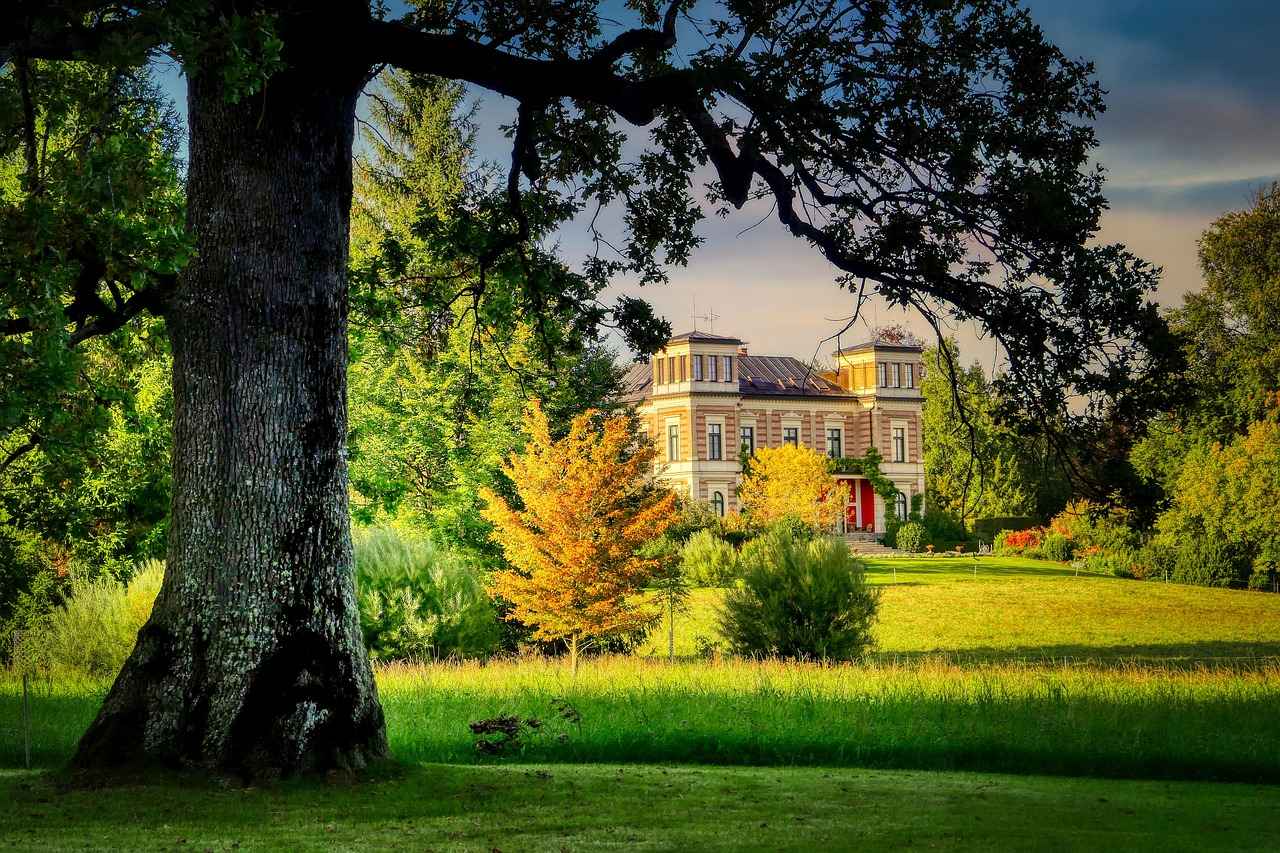 Die Formkurve der Mannschaften