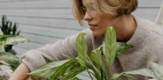 Teilnehmer: Atlético Madrid Gegen Bayer 04 Leverkusen Tabelle Teilnehmer: Atlético Madrid Gegen Bayer 04 Leverkusen Tabelle