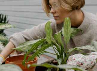 Teilnehmer: Atlético Madrid Gegen Bayer 04 Leverkusen Tabelle Teilnehmer: Atlético Madrid Gegen Bayer 04 Leverkusen Tabelle