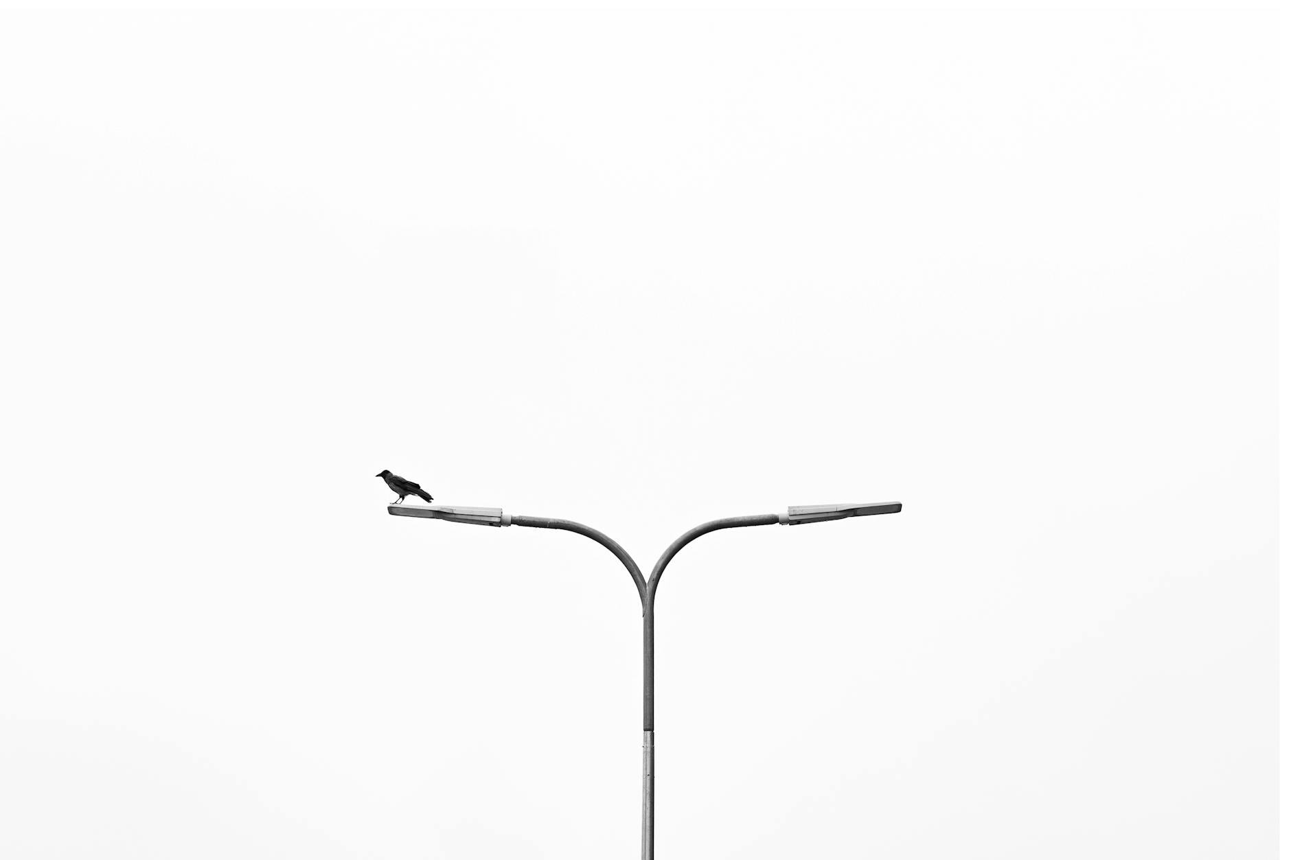 Fazit und persönliche Meinung