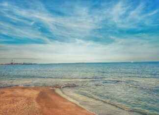 Teilnehmer: Bayer 04 Leverkusen Gegen AC Milan Statistiken: Statistiken und Fakten zum Spiel Leverkusen gegen Milan Teilnehmer: Bayer 04 Leverkusen Gegen AC Milan Statistiken: Statistiken und Fakten zum Spiel Leverkusen gegen Milan