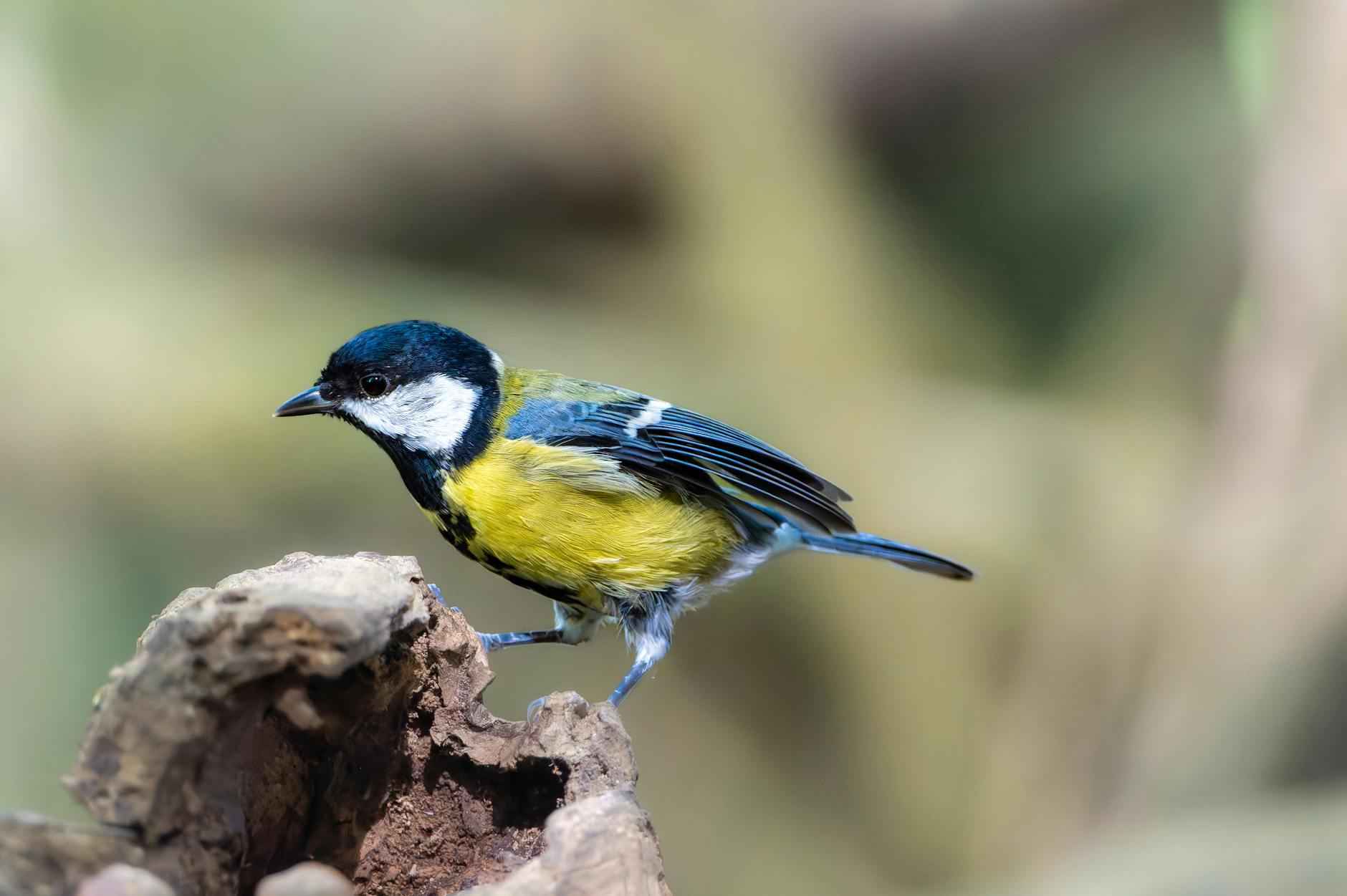 Teilnehmer: Bayer 04 Leverkusen Gegen Borussia Mönchengladbach Tabelle – Bayer 04 Leverkusen vs Borussia Mönchengladbach: Current Table Insights 6 Schlussfolgerung