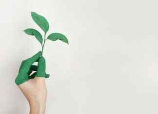 Teilnehmer: Bayer 04 Leverkusen Gegen RB Leipzig Statistiken – Die Wichtigen Statistiken Im Überblick Teilnehmer: Bayer 04 Leverkusen Gegen RB Leipzig Statistiken – Die Wichtigen Statistiken Im Überblick