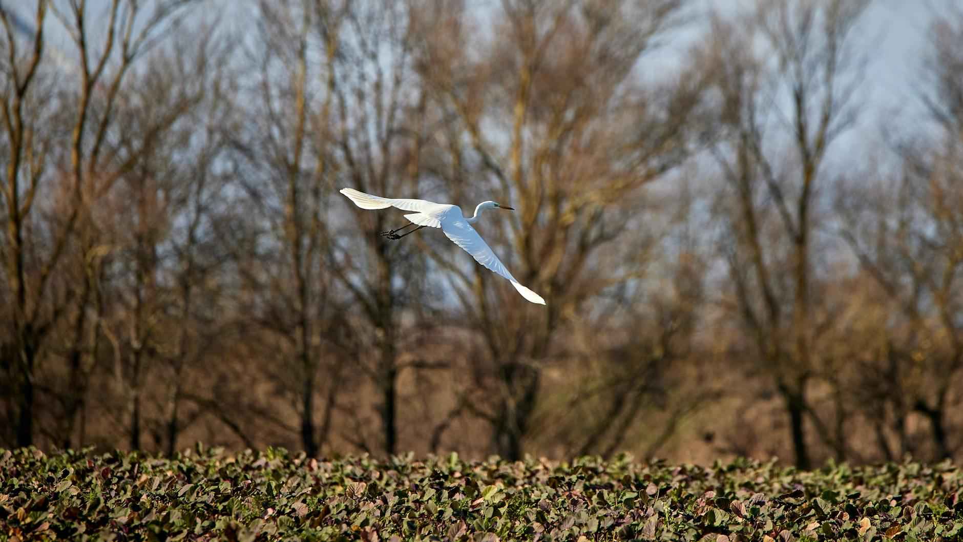 Teilnehmer: Bayer Leverkusen Gegen 1. Fsv Mainz 05 Statistiken 6 Fazit und Ausblick