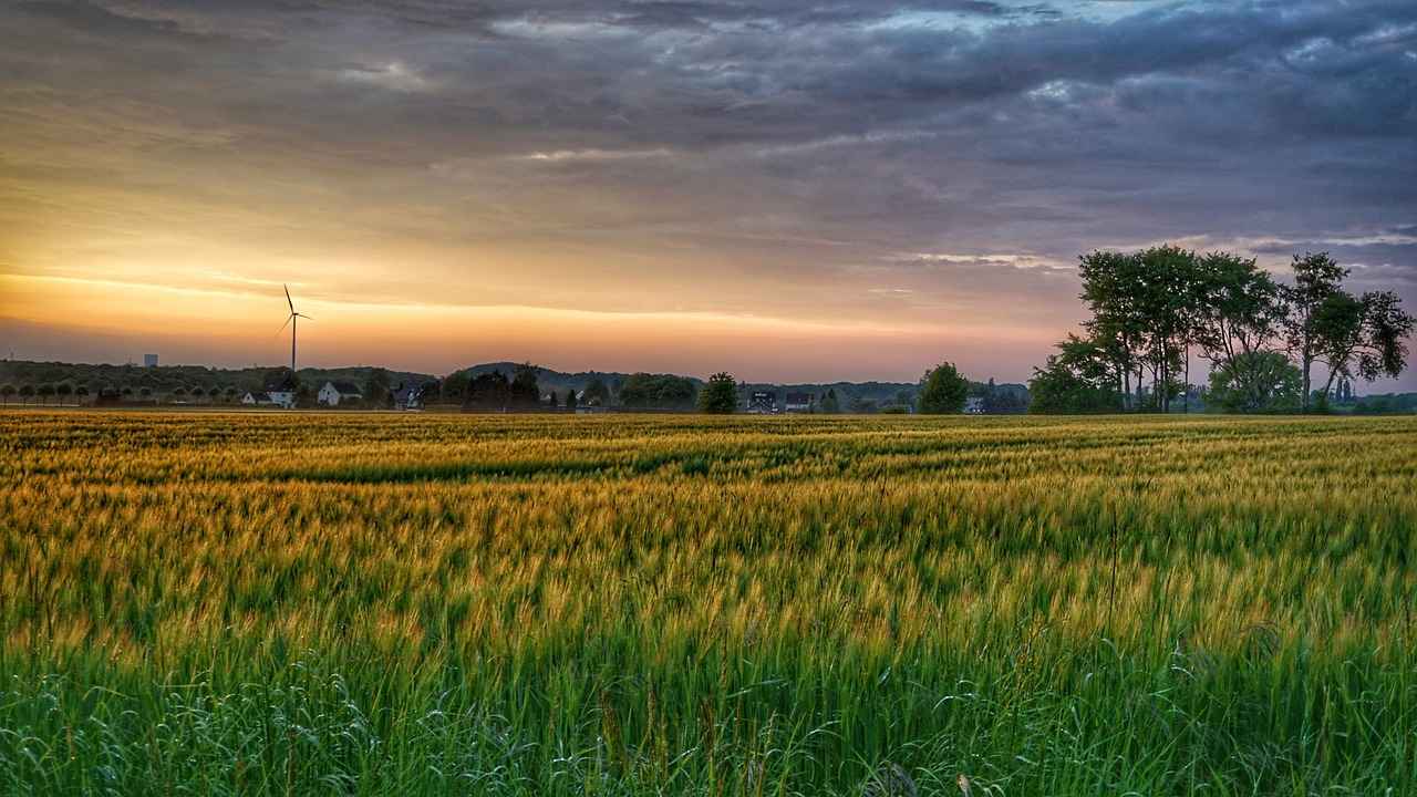 Teilnehmer: Borussia Dortmund Gegen Tsg 1899 Hoffenheim Tabelle – Borussia Dortmund Gegen Tsg 1899 Hoffenheim: Verpasse Keine Updates Zur Tabelle! 2 Aktuelle Form von TSG 1899 Hoffenheim
