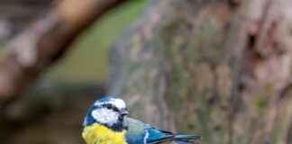 Teilnehmer: Borussia Mönchengladbach Gegen FC Bayern München Statistiken – Die Wichtigen Zahlen Und Daten Teilnehmer: Borussia Mönchengladbach Gegen FC Bayern München Statistiken – Die Wichtigen Zahlen Und Daten