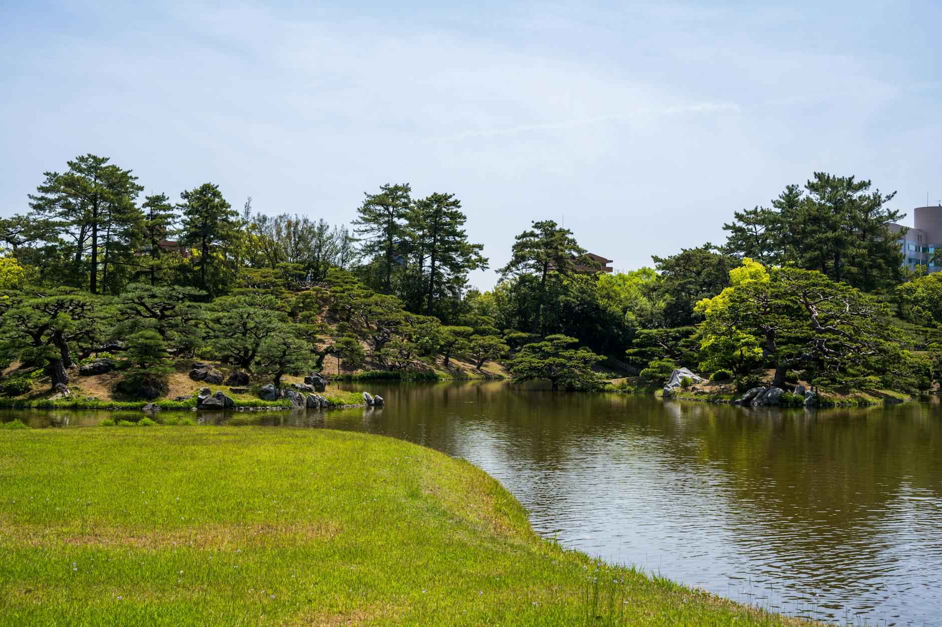 Teilnehmer: Cleveland Cavaliers Gegen Orlando Magic Spielerstatistiken Spiel 1 Die Teams im Überblick