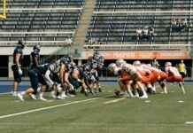 Teilnehmer: Darmstadt 98 Gegen Fc Bayern München Statistiken Teilnehmer: Darmstadt 98 Gegen Fc Bayern München Statistiken