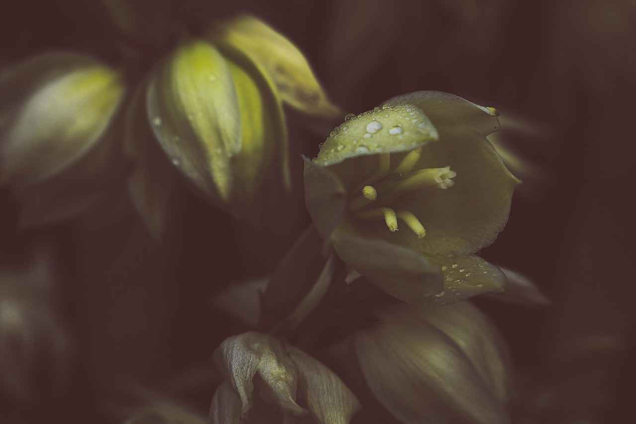 Die Medaillenstatistik Deutschlands