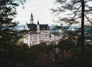 Teilnehmer: Fc Bayern München Gegen 1. Fc Heidenheim Tabelle Teilnehmer: Fc Bayern München Gegen 1. Fc Heidenheim Tabelle