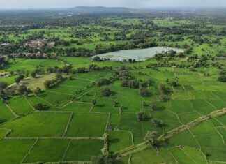 Teilnehmer: Fc Bayern München Gegen 1. Fsv Mainz 05 Statistiken Teilnehmer: Fc Bayern München Gegen 1. Fsv Mainz 05 Statistiken