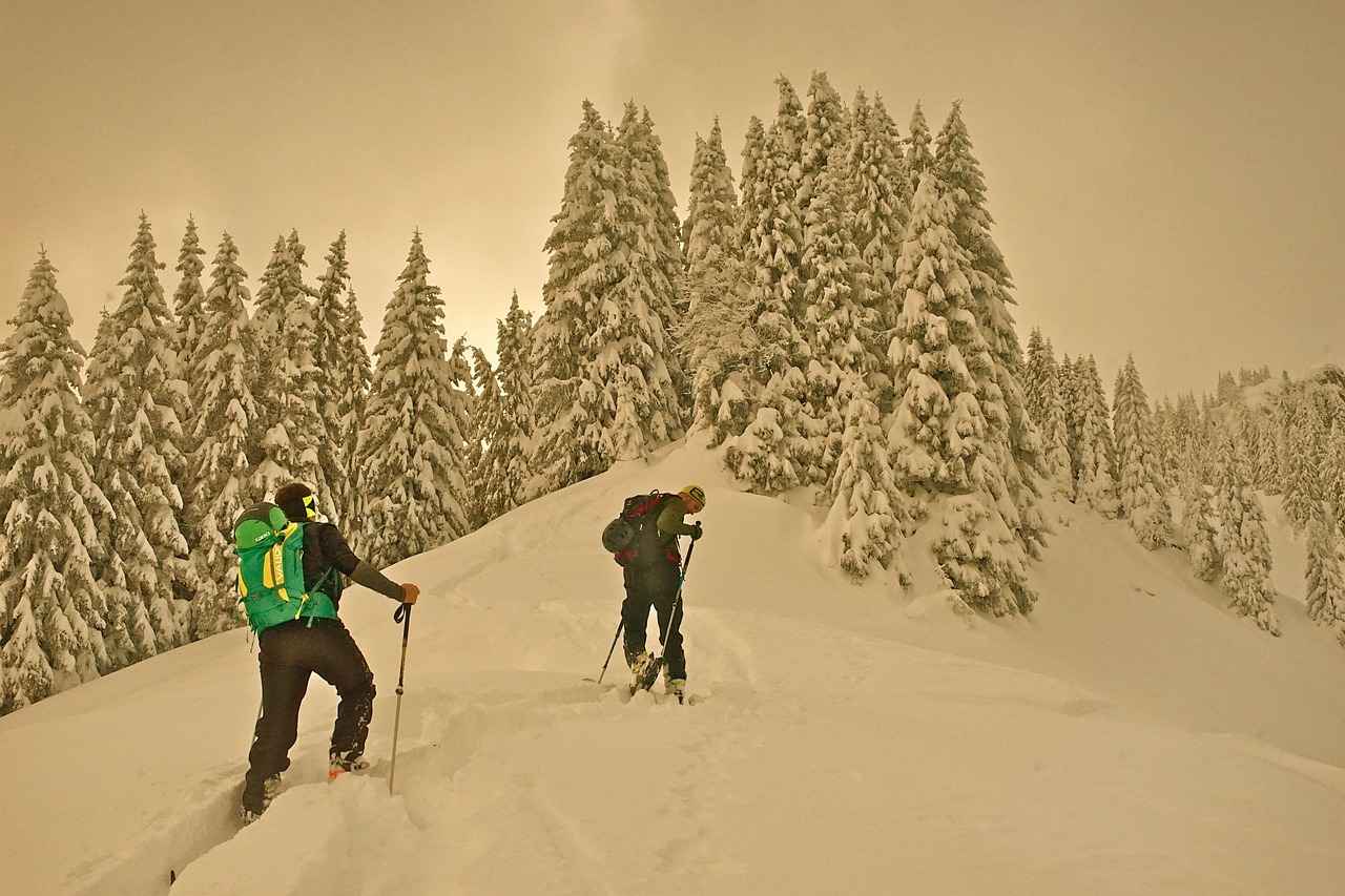 Teilnehmer: FC Bayern München Gegen Bayer 04 Leverkusen – Die Wichtigen Informationen Zu Diesem Spiel 1 Die Teams im Überblick