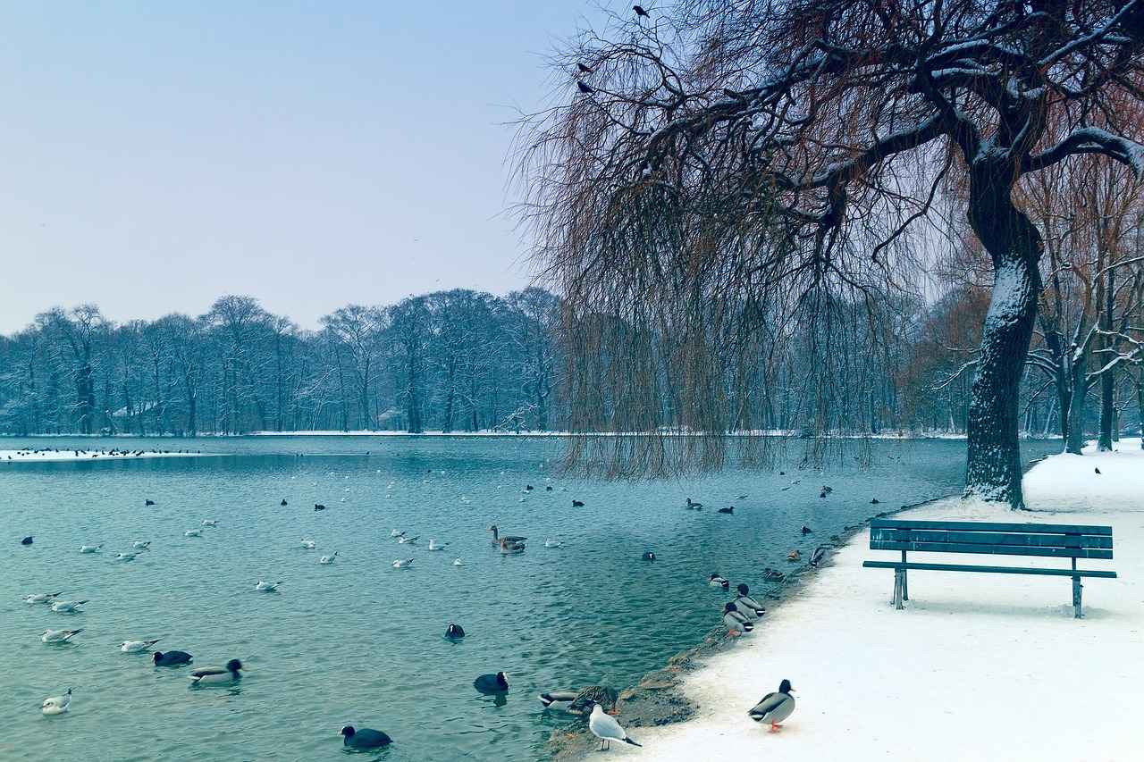 Die Historie der Begegnungen