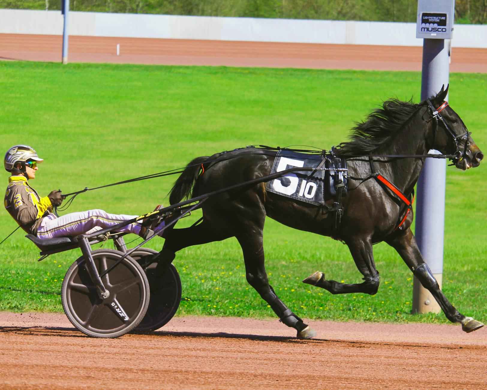 Teilnehmer: Fc Bayern München Gegen Union Berlin Tabelle – Latest Table: Bayern Munich vs Union Berlin Showdown Insights 5 Die Zuschauerreaktionen