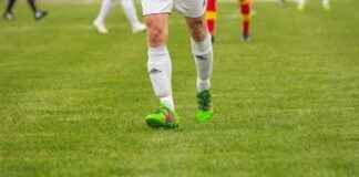 Teilnehmer: Fc Bayern München Gegen Vfb Stuttgart Statistiken Teilnehmer: Fc Bayern München Gegen Vfb Stuttgart Statistiken