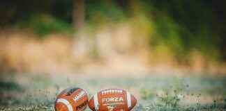 Teilnehmer: Sc Freiburg Gegen 1. Fsv Mainz 05 Tabelle – Sc Freiburg Gegen 1. Fsv Mainz 05: Die Tabelle Nach Dem Aufeinandertreffen! Teilnehmer: Sc Freiburg Gegen 1. Fsv Mainz 05 Tabelle – Sc Freiburg Gegen 1. Fsv Mainz 05: Die Tabelle Nach Dem Aufeinandertreffen!