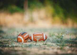 Teilnehmer: Sc Freiburg Gegen 1. Fsv Mainz 05 Tabelle – Sc Freiburg Gegen 1. Fsv Mainz 05: Die Tabelle Nach Dem Aufeinandertreffen! Teilnehmer: Sc Freiburg Gegen 1. Fsv Mainz 05 Tabelle – Sc Freiburg Gegen 1. Fsv Mainz 05: Die Tabelle Nach Dem Aufeinandertreffen!