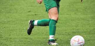 Teilnehmer: Sc Freiburg Gegen Fc Bayern München Statistiken Teilnehmer: Sc Freiburg Gegen Fc Bayern München Statistiken