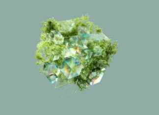 Teilnehmer: Tsg 1899 Hoffenheim Gegen Eintracht Frankfurt Tabelle Teilnehmer: Tsg 1899 Hoffenheim Gegen Eintracht Frankfurt Tabelle