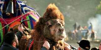 Teilnehmer: TSG 1899 Hoffenheim Gegen Werder Bremen Tabelle: Aktuelle Ergebnisse und Tabelle für das spannende Bundesliga-Duell Teilnehmer: TSG 1899 Hoffenheim Gegen Werder Bremen Tabelle: Aktuelle Ergebnisse und Tabelle für das spannende Bundesliga-Duell