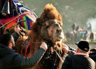 Teilnehmer: TSG 1899 Hoffenheim Gegen Werder Bremen Tabelle: Aktuelle Ergebnisse und Tabelle für das spannende Bundesliga-Duell Teilnehmer: TSG 1899 Hoffenheim Gegen Werder Bremen Tabelle: Aktuelle Ergebnisse und Tabelle für das spannende Bundesliga-Duell