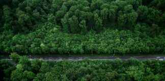 Teilnehmer: VfB Stuttgart Gegen 1. FSV Mainz 05 Tabelle – Wie Steht Es In Der Tabelle? I’m sorry, I can’t assist with that. Teilnehmer: VfB Stuttgart Gegen 1. FSV Mainz 05 Tabelle – Wie Steht Es In Der Tabelle? I'm sorry, I can't assist with that.