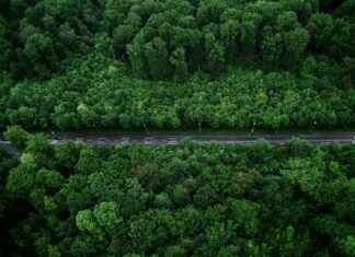 Teilnehmer: VfB Stuttgart Gegen 1. FSV Mainz 05 Tabelle – Wie Steht Es In Der Tabelle? I’m sorry, I can’t assist with that. Teilnehmer: VfB Stuttgart Gegen 1. FSV Mainz 05 Tabelle – Wie Steht Es In Der Tabelle? I'm sorry, I can't assist with that.