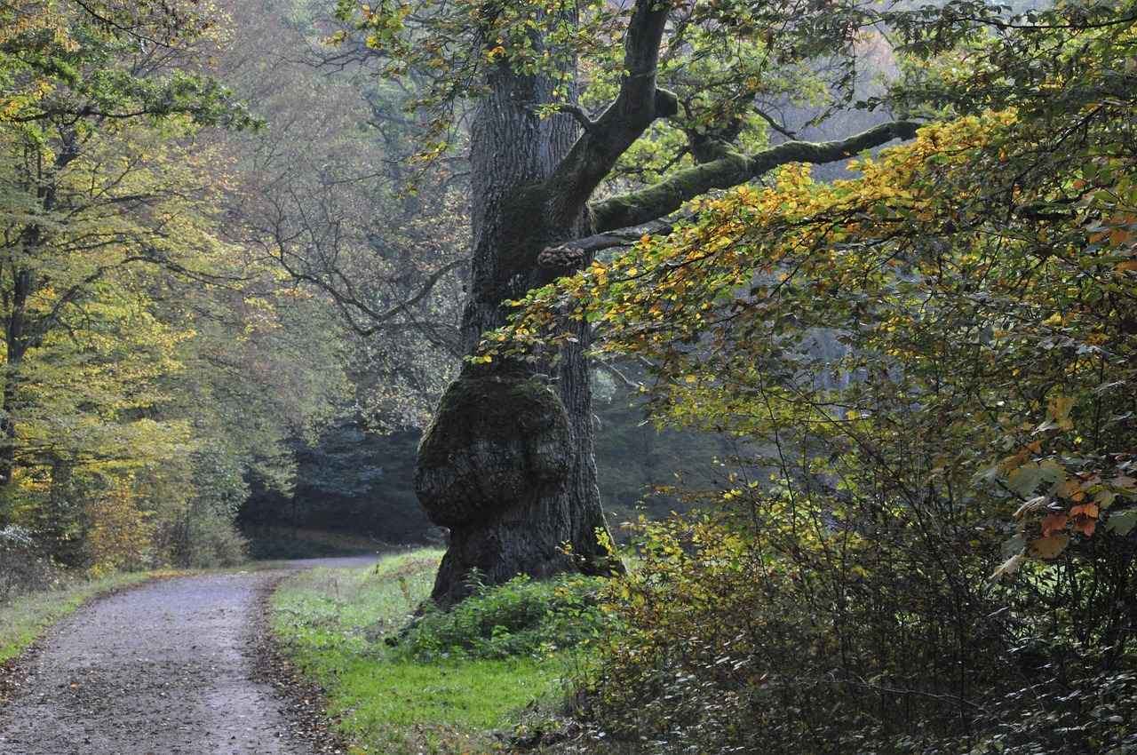 Teilnehmer: Vfb Stuttgart Gegen Fc Bayern München Tabelle 3 Statistiken und Zahlen