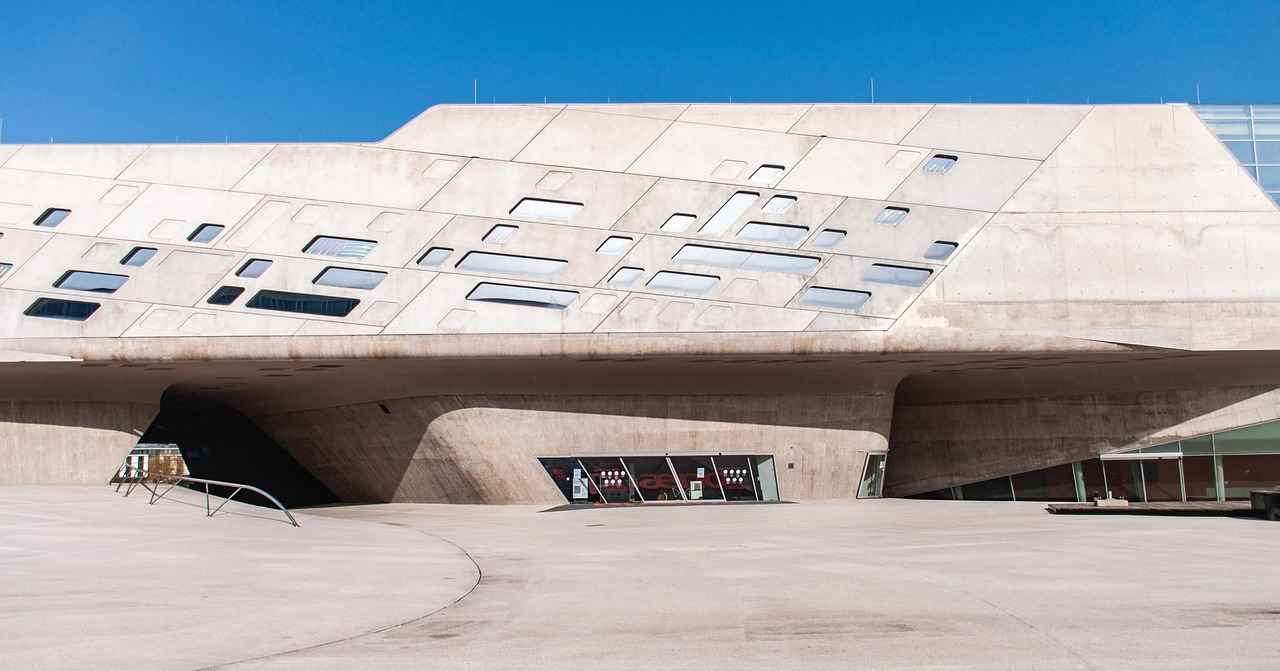 Fan-Reaktionen und Meinungen