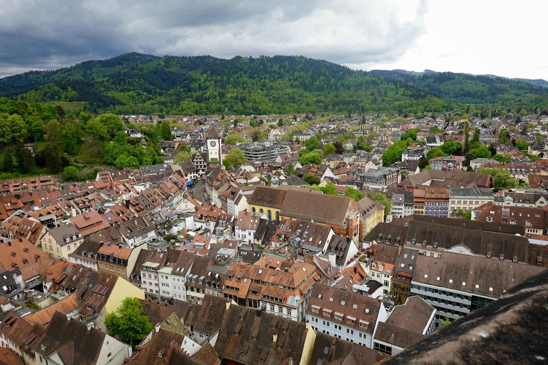 Ticker: Teilnehmer: 1. FC Köln Gegen SC Freiburg: So wird das Match 1. FC Köln gegen SC Freiburg verlaufen 5 Prognosen und Erwartungen