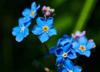 Ticker: Teilnehmer: 1. FSV Mainz 05 Gegen Werder Bremen – Die Ticker-Updates Des Spiels Ticker: Teilnehmer: 1. FSV Mainz 05 Gegen Werder Bremen – Die Ticker-Updates Des Spiels