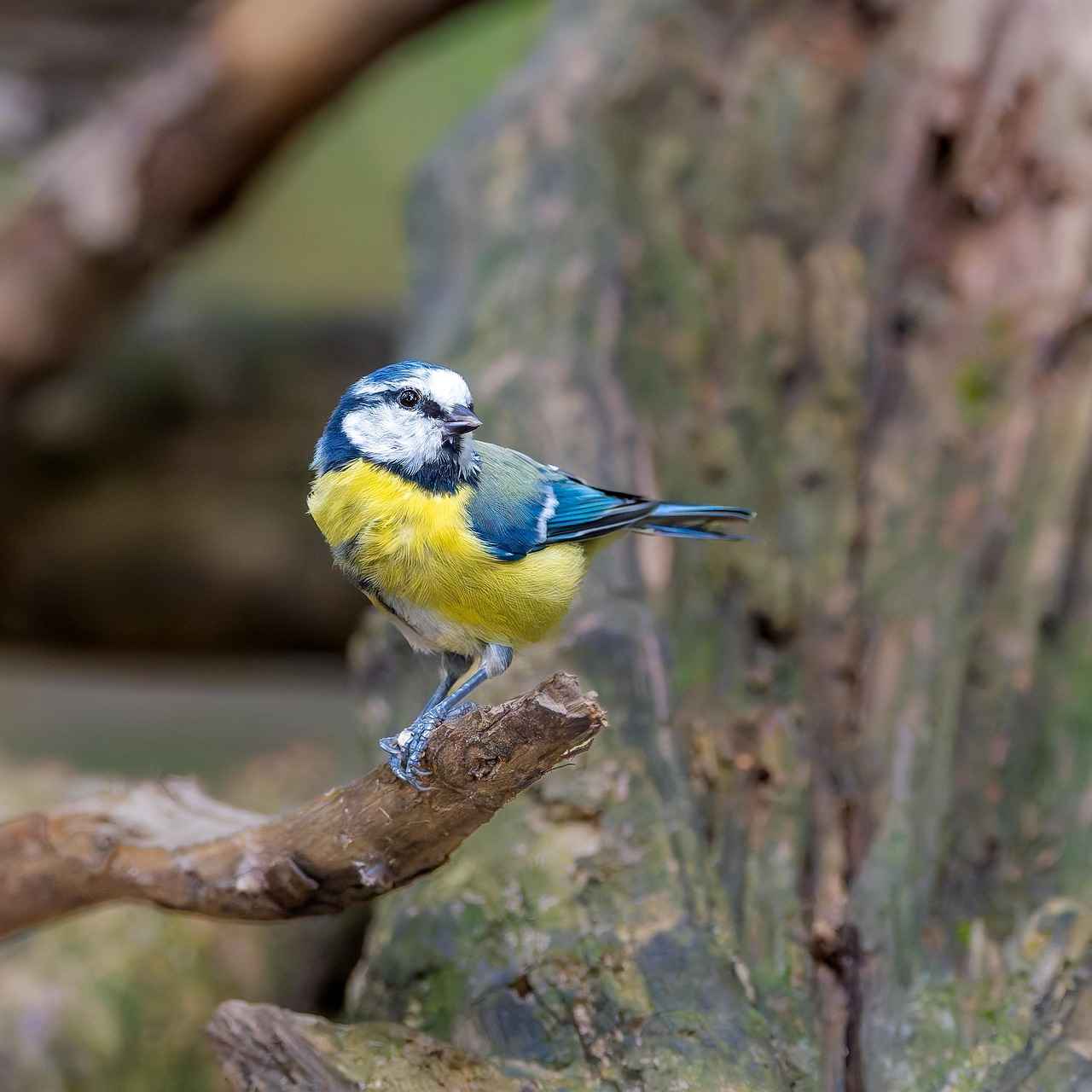 Erste Halbzeit Highlights