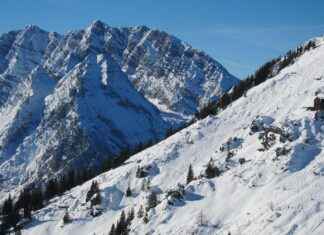 Ticker: Teilnehmer: FC Bayern München Gegen Lazio Rom – Live-Updates Und Ereignisse Ticker: Teilnehmer: FC Bayern München Gegen Lazio Rom – Live-Updates Und Ereignisse