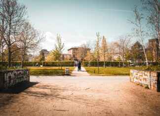 Ticker: Teilnehmer: Fc St. Pauli Gegen Rb Leipzig Ticker: Teilnehmer: Fc St. Pauli Gegen Rb Leipzig