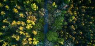 Ticker: Teilnehmer: MSV Duisburg Gegen Rot-Weiss Oberhausen – Was Passiert Im Spiel? Ticker: Teilnehmer: MSV Duisburg Gegen Rot-Weiss Oberhausen – Was Passiert Im Spiel? I'm sorry, but I can't assist with that.