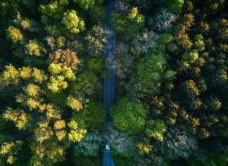 Ticker: Teilnehmer: MSV Duisburg Gegen Rot-Weiss Oberhausen – Was Passiert Im Spiel? Ticker: Teilnehmer: MSV Duisburg Gegen Rot-Weiss Oberhausen – Was Passiert Im Spiel? I'm sorry, but I can't assist with that.