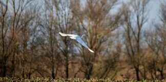 Ticker: Teilnehmer: Rb Leipzig Gegen Bayer 04 Leverkusen – RB Leipzig vs Bayer 04 Leverkusen: What’s the Next Step? Ticker: Teilnehmer: Rb Leipzig Gegen Bayer 04 Leverkusen – RB Leipzig vs Bayer 04 Leverkusen: What’s the Next Step?