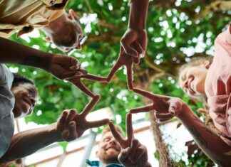 Ticker: Teilnehmer: Union Berlin Gegen 1. FSV Mainz 05: Union Berlin gegen Mainz – Ein packendes Bundesliga-Duell Ticker: Teilnehmer: Union Berlin Gegen 1. FSV Mainz 05: Union Berlin gegen Mainz – Ein packendes Bundesliga-Duell