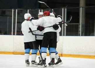 Ticker: Teilnehmer: Vfl Wolfsburg Gegen Fc Bayern München – VfL Wolfsburg vs Bayern Munich: Who Will Prevail? Ticker: Teilnehmer: Vfl Wolfsburg Gegen Fc Bayern München – VfL Wolfsburg vs Bayern Munich: Who Will Prevail?