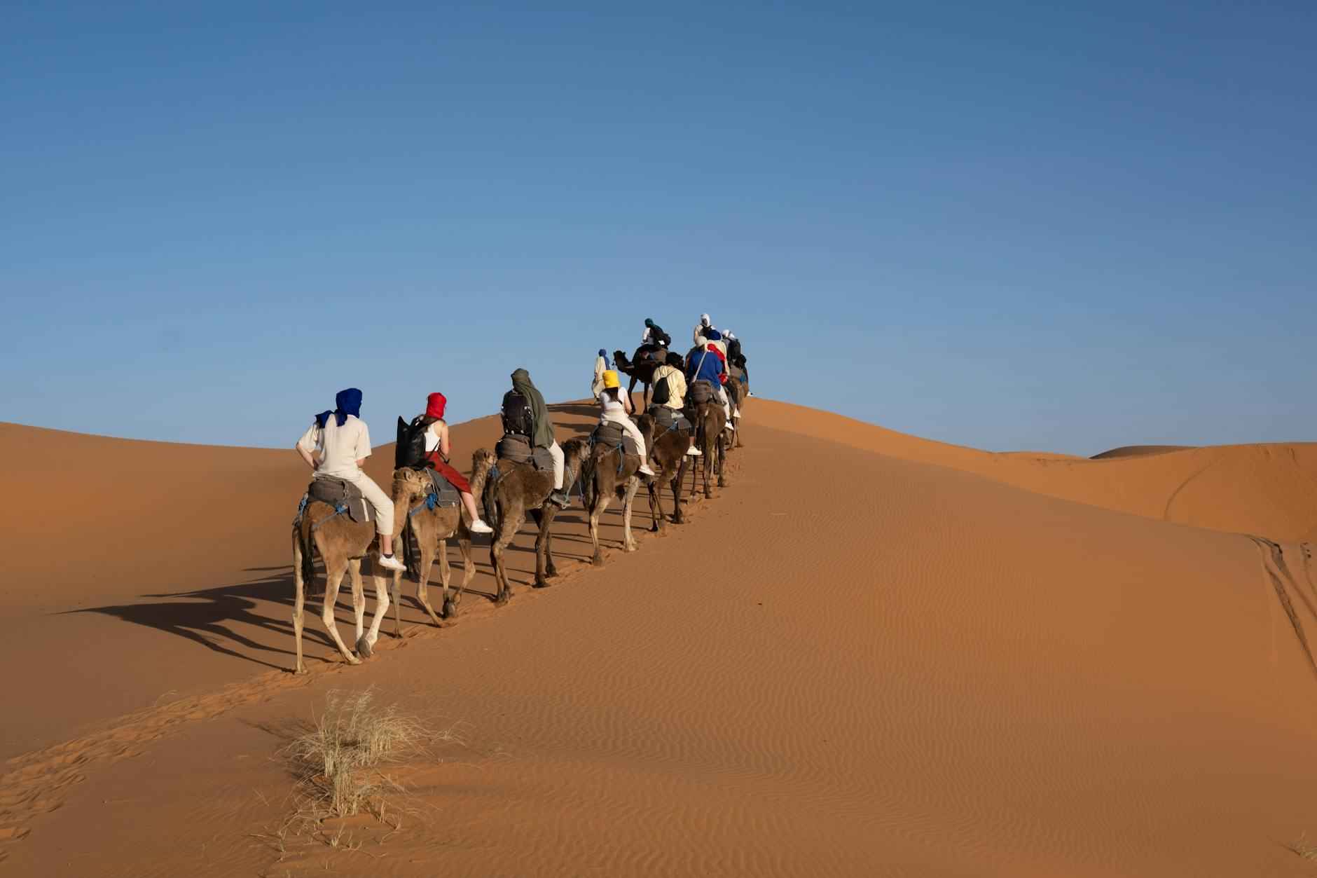 Wo Wird Teilnehmer: Real Madrid Gegen Borussia Dortmund Übertragen 1 Die Wichtigkeit des Spiels